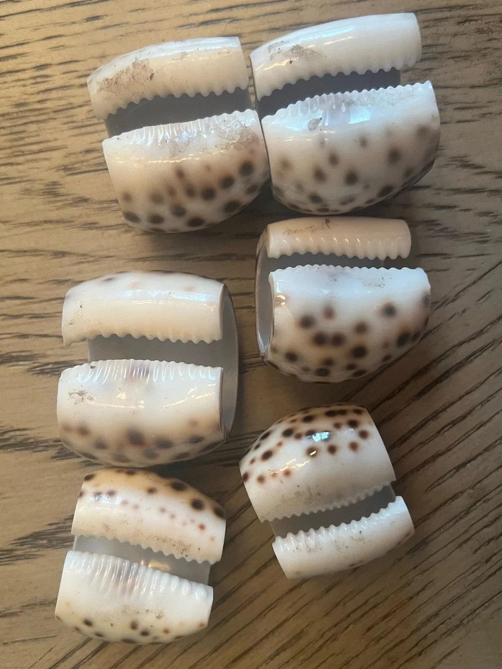 Vintage Tiger Cowrie Shell Napkin Rings set of 6